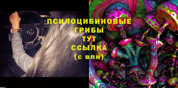 mix Алексин