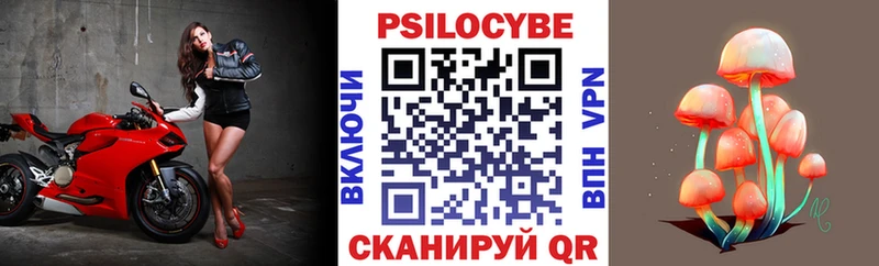 купить наркотик  Малаховка  Псилоцибиновые грибы мицелий 
